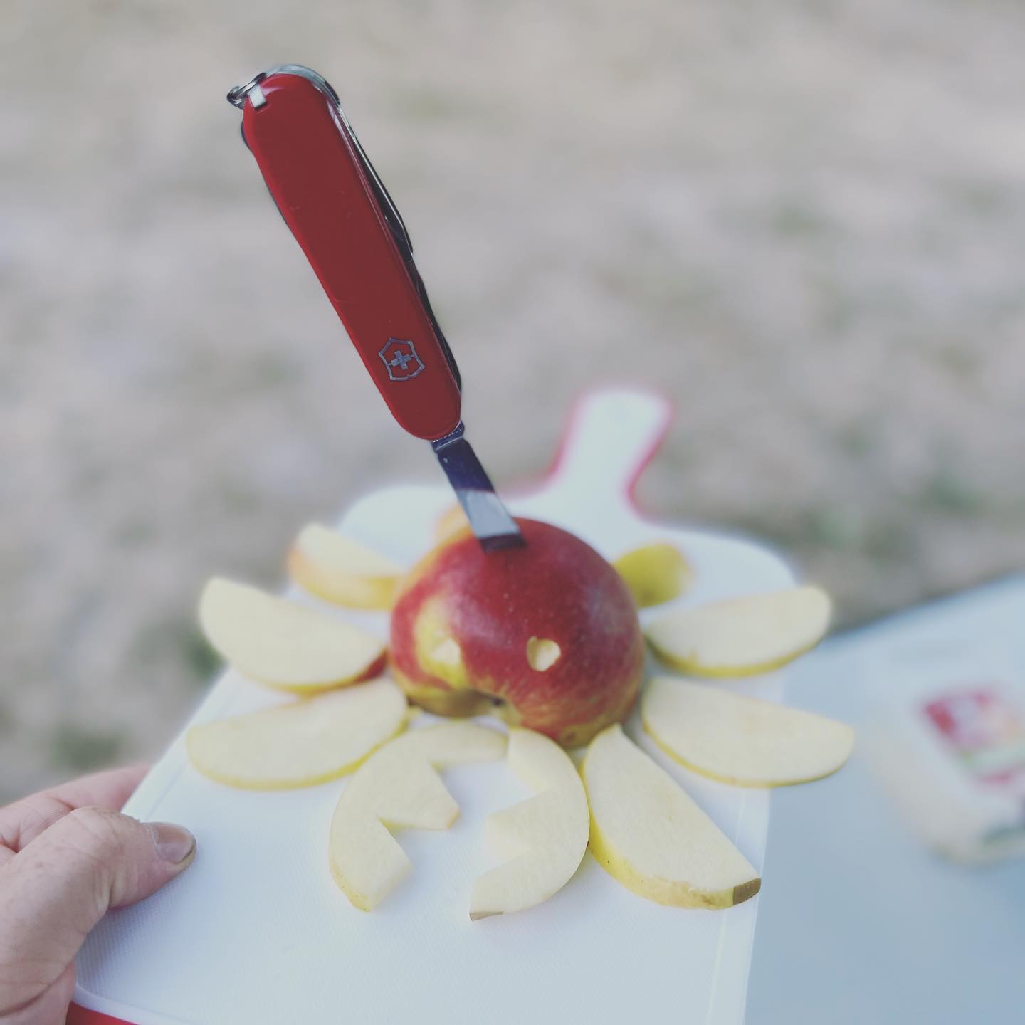 Grüße ausm Kurzurli …. 

Achja und FUCK CANCER 🖕

#krebsisteinarschloch#darmkrebs#krebskämpfer #krebskrank #cancer #cancerfighter #lifestyle #lifeisgood #lifeisbeautiful #lifecoaching #paliativ #darmkrebs#lifeofadventure #love #selfie #healthylifestyle #healthy #gesundheit #gesundleben #krank #krankheit #lebensfreude #lebengenießen #lebensqualität #lebedeinleben #lebensmotto #fickdichkrebs #zitate