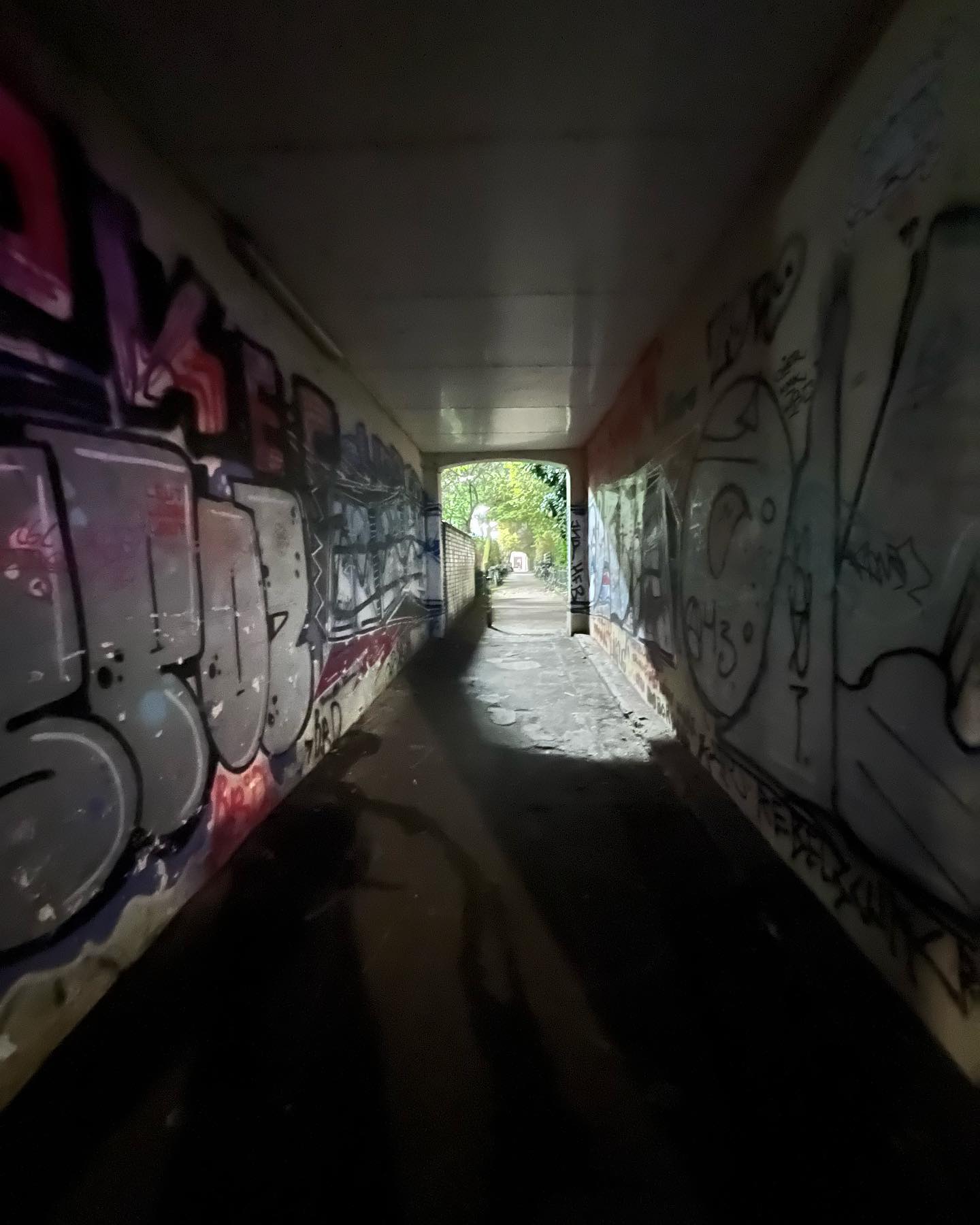 Unvergessen ♥️♥️

Jungs ich bin euch so unendlich dankbar. Wie toll einfach. Ich wurde nach Hamburg entführt. Standesgemäßes Hotel auf der Reeperbahn. Schöne Feier mit viel Lachen viel Essen Trinken Party und einfach mal kein Krebs haben. 

Kann das nicht in Worte fassen wie gut mir das tat ❤️❤️❤️❤️🚨🚨🚨👍👍👍

Unbedingt wieder 🤘🤘🤘 Punkrock und Heavy Metal 🎸 💪🏻

#darmkrebs#krebskämpfer #krebskrank #cancer #cancerfighter #lifestyle #lifeisgood #lifeisbeautiful #lifecoaching #paliativ #darmkrebs#lifeofadventure #love #selfie #healthylifestyle #healthy #gesundheit #gesundleben #krank #krankheit #lebensfreude #lebengenießen #lebensqualität #lebedeinleben #lebensmotto #fickdichkrebs #zitate