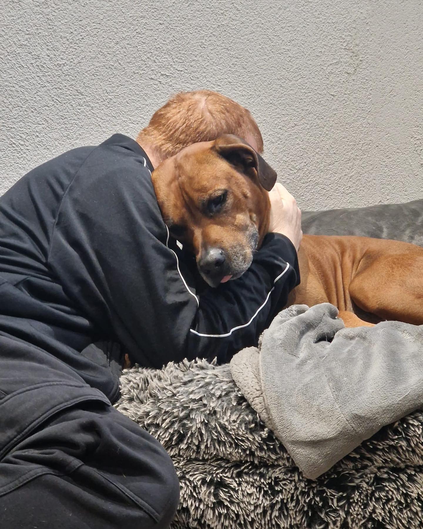 Ich kann es nicht beschreiben dieses Gefühl, wenn sein bester Freund einem zeigt, dass man gefehlt hat, einen zum Spielen auffordert und sich richtig freut. 

Bald bin ich wieder bei dir 🥹 dann gehen wir wieder in den Wald 🌳 weils uns da am besten gefällt ❤️💪🏻😘😘 du gibst mir immer wieder Kraft. 

Doch leider muss ich jetzt wieder zurück ins Krankenhaus. Noch 2 mal schlafen, dann bin ich wieder zurück. Ich hoffe es so sehr. Bei meinem besten Freund. Meiner Frau,die sowohl mein Ehepartner  als auch meine beste Freundin ist. Und ich weiß nicht wieso, aber wir denken und fühlen immer da gleiche. Meine Familie einfach. Hier passt jedes Puzzleteil ineinander. Bald verziehen sich die 🌧️ Wolken und wir machen weiter, wo wir letztes Mal aufgehört haben.
Camping und Abenteuer 🌳❤️😘 ich liebe DICH @tantejani und Jogi natürlich auch 🙏🌳

#krebsisteinarschloch #darmkrebs#krebskämpfer #krebskrank #cancer #cancerfighter #lifestyle#cancerblogger #lifeisgood #lifeisbeautiful #lifecoachin #palliativ #darmkrebs#lifeofadventure #love #selfie #healthylifestyle #healthy #gesundheit #gesundleben #krank #krankheit #lebensfreude #lebengenießen #lebensqualität #lebedeinleben #lebensmotto #fickdichkrebs #zitate 
#fckcancer