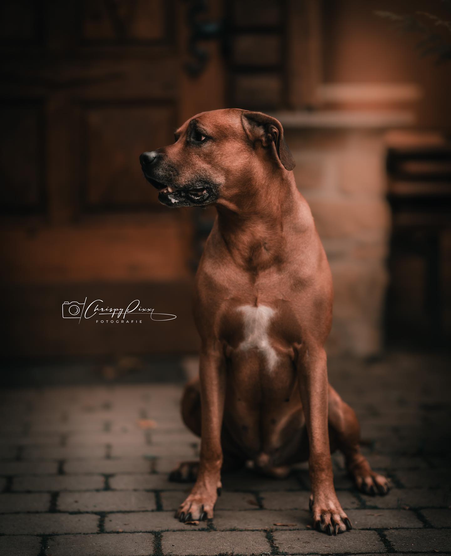 Tausend und 4 Dänker 😀 @chrispypixx @chrispy_32_ einfach richtig tolles Fotos von meinem besten Freund ❤️😘😘❤️ das kommt auf Leinwand. Schreibt ihn einfach an wenn ihr auch geile Fotos braucht 😉😉😉

#krebsisteinarschloch #darmkrebs#krebskämpfer #krebskrank #cancer #mutmacher #cancerfighter #lifestyle#cancerblogger #lifeisgood #lifeisbeautiful #lifecoachin #palliativ #darmkrebs#lifeofadventure #dasistpalliativ #selfie #healthylifestyle #healthy #gesundheit #gesundleben #krank #krankheit #lebensfreude #darmkrebskämpfer #krebskrank  #cancerfighter #lebedeinleben #lebensmotto #fickdichkrebs #zitate 
#fckcancer