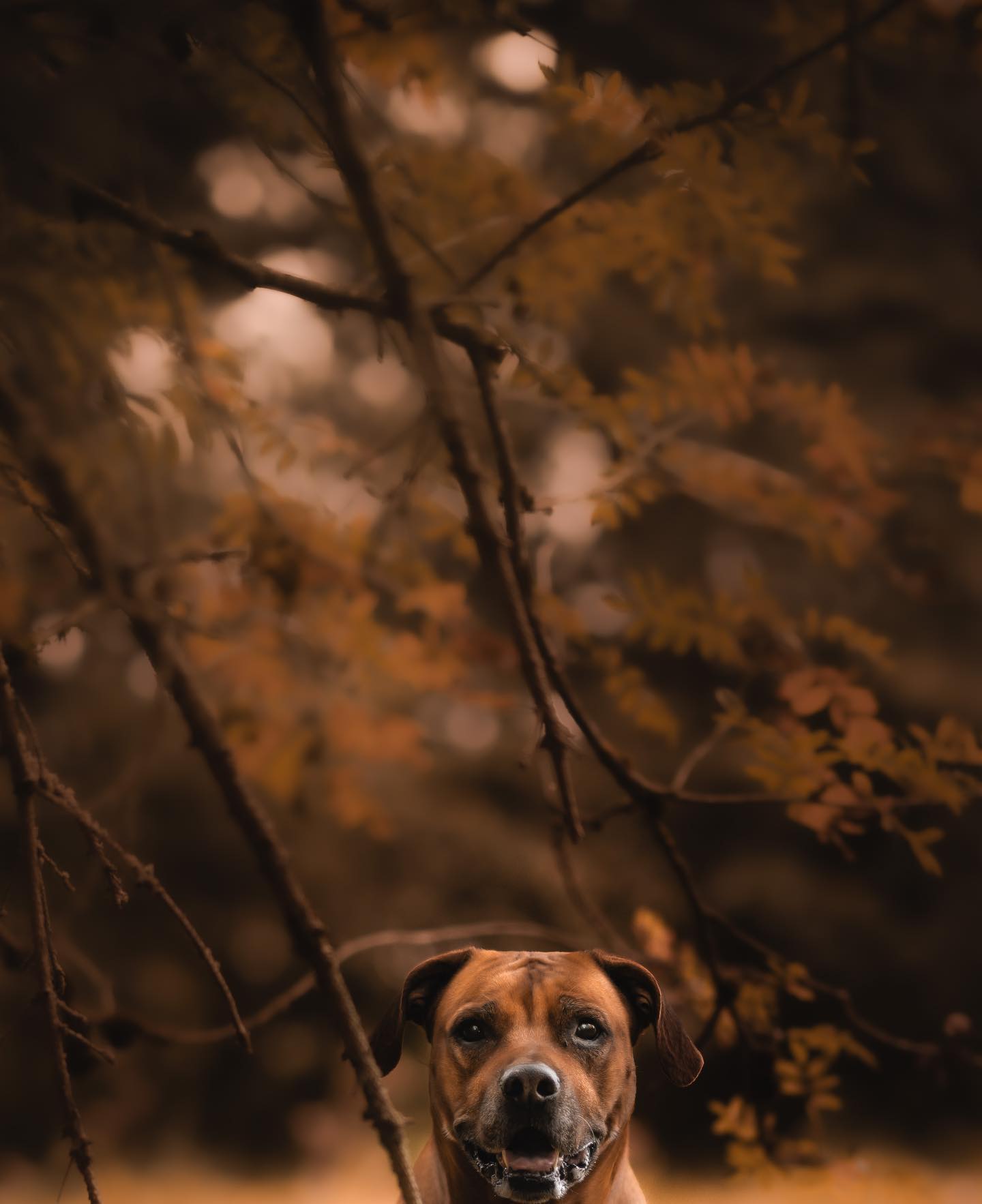 Tausend und 4 Dänker 😀 @chrispypixx @chrispy_32_ einfach richtig tolles Fotos von meinem besten Freund ❤️😘😘❤️ das kommt auf Leinwand. Schreibt ihn einfach an wenn ihr auch geile Fotos braucht 😉😉😉

#krebsisteinarschloch #darmkrebs#krebskämpfer #krebskrank #cancer #mutmacher #cancerfighter #lifestyle#cancerblogger #lifeisgood #lifeisbeautiful #lifecoachin #palliativ #darmkrebs#lifeofadventure #dasistpalliativ #selfie #healthylifestyle #healthy #gesundheit #gesundleben #krank #krankheit #lebensfreude #darmkrebskämpfer #krebskrank  #cancerfighter #lebedeinleben #lebensmotto #fickdichkrebs #zitate 
#fckcancer
